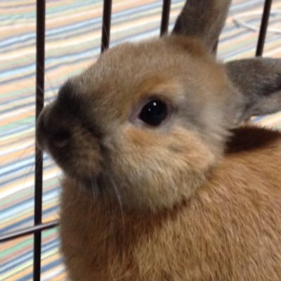 OszADBrsvshbA7f's profile picture. 