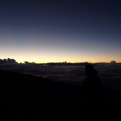 NsuPva's profile picture. 無職