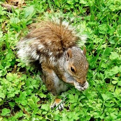 kaorun343's profile picture.