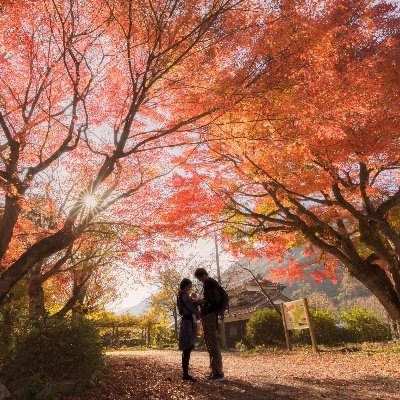 山口県を中心に写真撮ってます✨たまに九州、中国・四国地方をウロウロしてます🚗