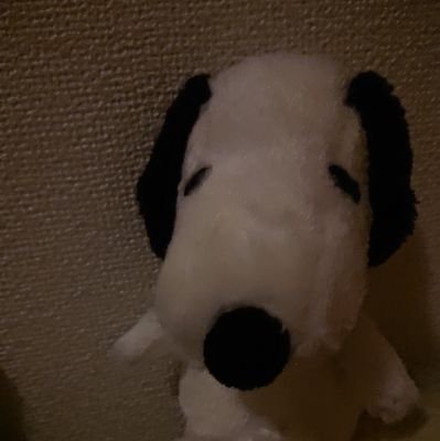 はじめまして!Twitterを今日開始しました☺️たくさんの方と楽しみたいと思います😊宜しくお願いします🙇