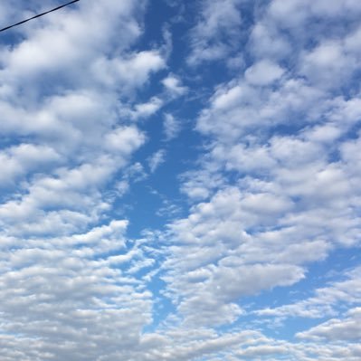 GroundMoleBn's profile picture. 