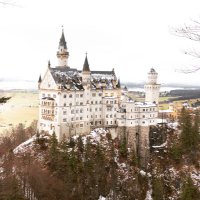 ドイツ語サポーター🇩🇪りひと (@y_rct11) Twitter profile photo