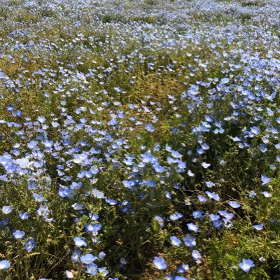 cHZf5TkPV4mrh6R's profile picture. つくば市近郊で楽しい出会いを求めています(^ ^)気軽にフォローして下さい。#ハプニングバー #ハプバー #裏垢男子 #裏垢女子#オフパコ#セフレ#えち友#つくば#Dolce#荒川沖#days#舐め犬#バター犬#DM歓迎