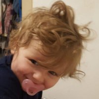 Bob Routley (@bobroutley) 's Twitter Profile