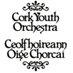 CorkYouthOrchestra (@cyocork) Twitter profile photo CorkYouthOrchestra (@cyocork) Twitter profile photo