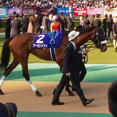 kou_Since92's profile picture. 競馬を好んでいます。(推し馬：ペイシャエス、クラウンプライド等々… )
その他スポーツの話題もちょこちょこ話していきたいと思います。
ボールパークでつかまえて／Bリーグにもハマりつつ…