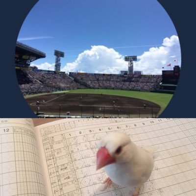fushimimarine's profile picture. 高校野球/京都・近畿勢推し /プロは地元千葉ロッテ/野球愛を叫びます⚾️ あと茶道と茶事やってます/ 壊れた琵琶直したい