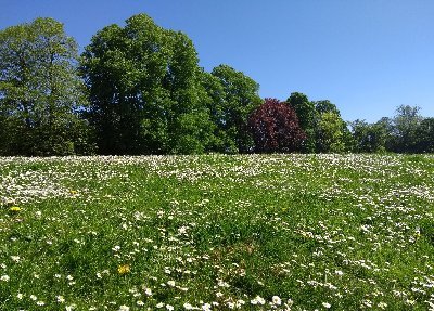 Follow us for news on events and activities for nature, mindfulness, and sustainable living in Cheltenham.
@ us if you have something you'd like us to share!