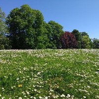 Cheltenham Nature Network (@cheltnature) 's Twitter Profile