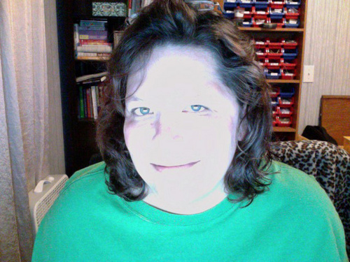 Mother, friend, photographer, artist and web developer/designer person.