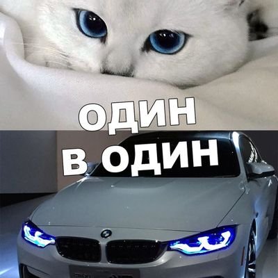 Espressotime3's profile picture. 