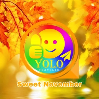 YOLO Travel4u is the best ticketing agent for all kinds of travels such as flight tickets, highway bus tickets, hotel bookings, beach packages, cruises, etc...