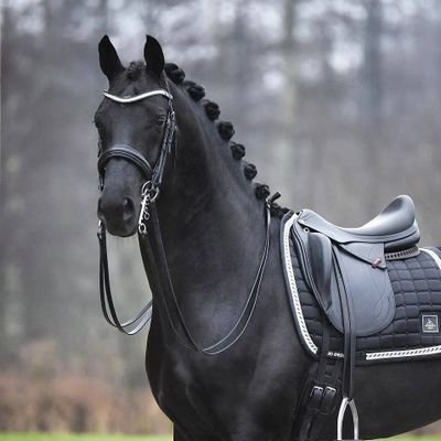 AminuDangan's profile picture. Physiotherapist