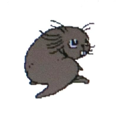 白雲さんのプロフィール画像