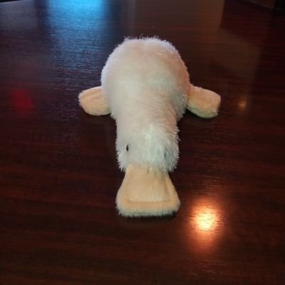 EldRynPhoenix's profile picture. WTF?! Yeah, I made you say that.
Don't be nice. Be kind. #resist

the blue place: ChaoticNeutralGlitter