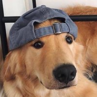 Butler (@trevorbutler2) 's Twitter Profile Photo Butler (@trevorbutler2) 's Twitter Profile Photo