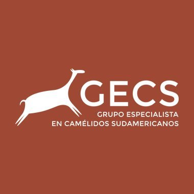 Nuestra misión es promover la conservación y el uso sostenible de los camélidos sudamericanos silvestres en su área de distribución.