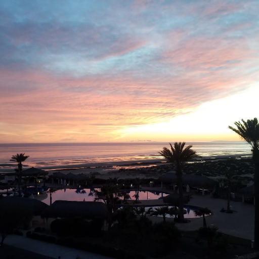 ThePulpChamber's profile picture. 