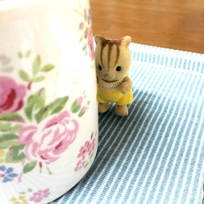 りすのさんのプロフィール画像