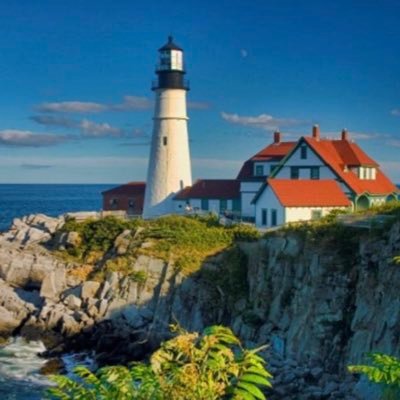 DrSarahAlamer1's profile picture. 