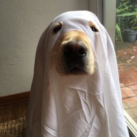 . (@spamela_24) 's Twitter Profile