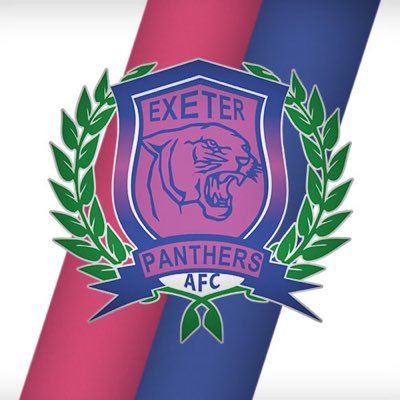 Exeter Panthers Youth AFC - Based at Betty’s Mead, Exeter. With teams ranging from Under 6 to Under 16.