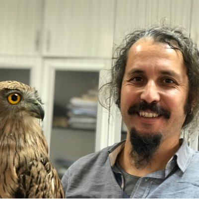 Professor at Mehmet Akif Ersoy University. Interested in Evolution, Ornithology
#ornithology  #phylogeny #ecology