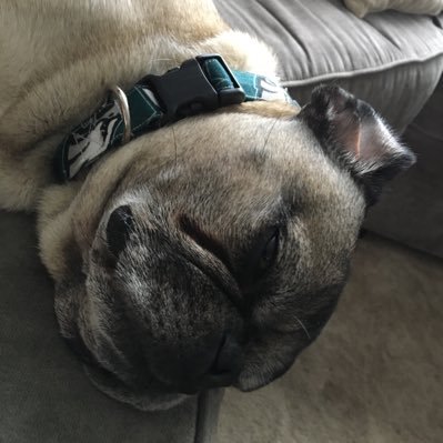 mobe33553794's profile picture. 