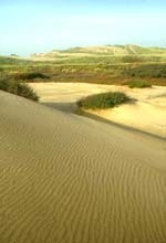 Ainsdale NNR