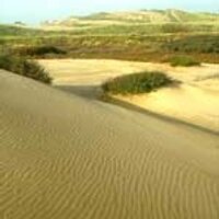 Ainsdale NNR(@AinsdaleNNR) 's Twitter Profileg