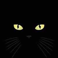 ToInsert's profile picture. idk ;-;