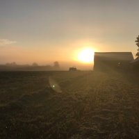 Ian Dickison (@iandickison) 's Twitter Profile