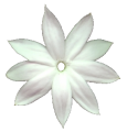 Our product creates tighter and smoother skin, whilst softening damage lines in the process.