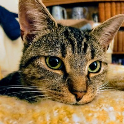 JKeely3's profile picture. All views are my own.