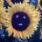 madstar100's profile image