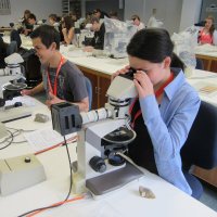 UTAS Sci Experience (@scienceexp_utas) 's Twitter Profile