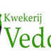 kwekerij Vedder (@aubergien) Twitter profile photo