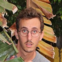 alex beller (@ringmybeller) 's Twitter Profile Photo alex beller (@ringmybeller) 's Twitter Profile Photo