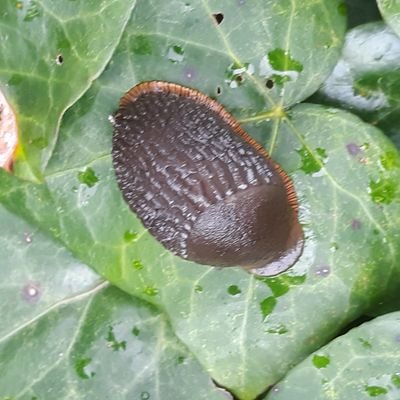 msw_erin's profile picture. Mom, Social Worker, Activist, Rad Human, NO DMs, NO Catfishing here!