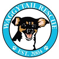 Waggytail Rescue (@waggytailrescue) 's Twitter Profile