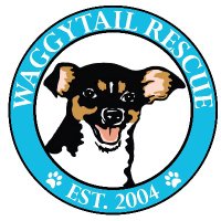 Waggytail Rescue(@WaggytailRescue) 's Twitter Profileg