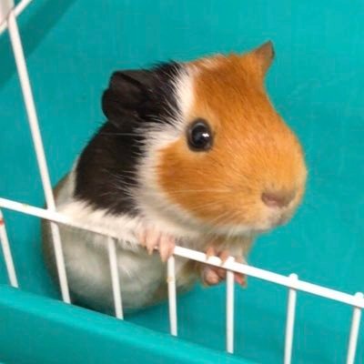 そらさんのプロフィール画像