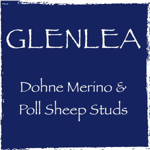 Glenlea Dohnes, Australia's oldest Dohne stud, ceased operations in July 2022.