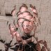 luke awtry (@lukeshooots) Twitter profile photo luke awtry (@lukeshooots) Twitter profile photo