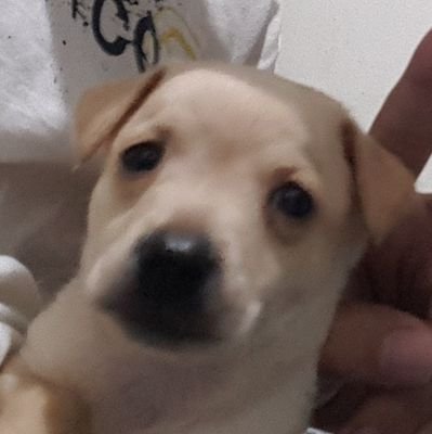 LittleHmmmm's profile picture. 