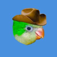 duo (@duolingous) 's Twitter Profile Photo duo (@duolingous) 's Twitter Profile Photo