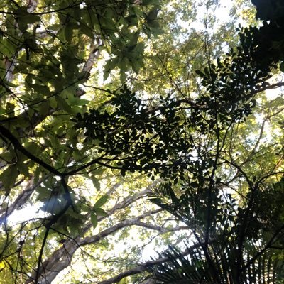 “Hay una grieta en todo, así es como entra la luz”
