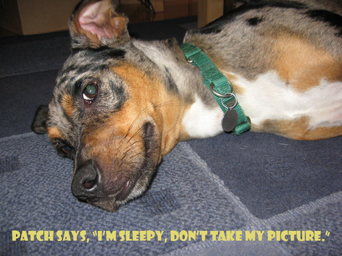 kkconner's profile picture. 