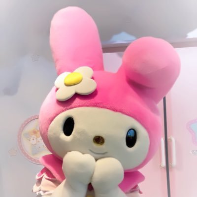 堂本光一くん【1994年〜】/神田沙也加ちゃん/King & Prince✳︎永瀬廉くん/サンリオ*マイメロ・メルちゃん/たかたのゆめちゃん・チェリン・みっころちゃん・ふなごろー/ゆるキャラとの出会いはふなっしー/アドベンチャーワールドの楓浜との出会いで浜家🐼ファミリーに夢中